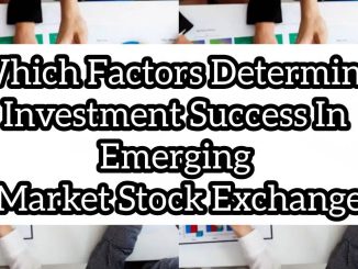 Which factors determine investment success in emerging market stock exchanges