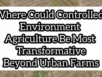 Where Could Controlled-Environment Agriculture Be Most Transformative Beyond Urban Farms