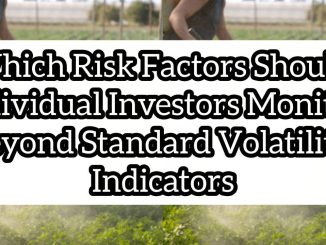 Which Risk Factors Should Individual Investors Monitor Beyond Standard Volatility Indicators