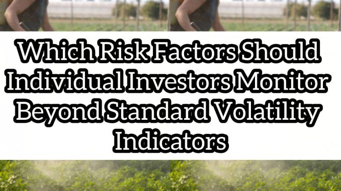 Which Risk Factors Should Individual Investors Monitor Beyond Standard Volatility Indicators Which Risk Factors Should Individual Investors Monitor Beyond Standard Volatility Indicators