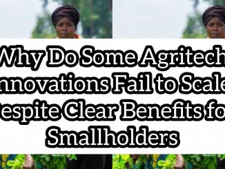 Why Do Some Agritech Innovations Fail to Scale Despite Clear Benefits for Smallholders
