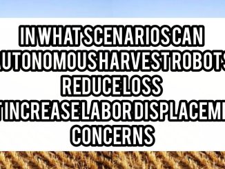 In What Scenarios Can Autonomous Harvest Robots Reduce Loss But Increase Labor Displacement Concerns