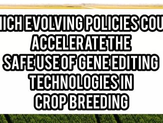 Which Evolving Policies Could Accelerate the Safe Use of Gene Editing Technologies in Crop Breeding