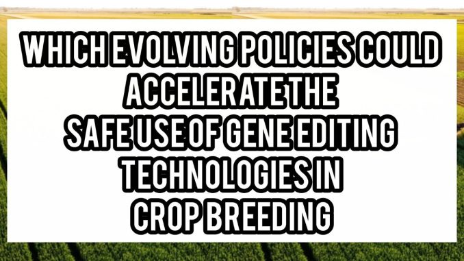 Which Evolving Policies Could Accelerate the Safe Use of Gene Editing Technologies in Crop Breeding Which Evolving Policies Could Accelerate the Safe Use of Gene Editing Technologies in Crop Breeding