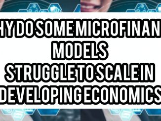 Why Do Some Microfinance Models Struggle to Scale in Developing Economics