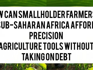 How Can Smallholder Farmers in Sub-Saharan Africa Afford Precision Agriculture Tools Without Taking on Debt