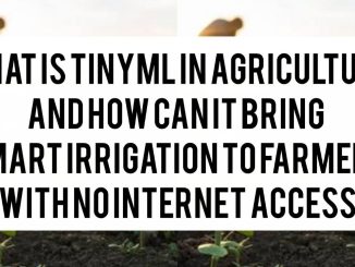 What Is TinyML in Agriculture and How Can It Bring Smart Irrigation to Farmers With No Internet Access