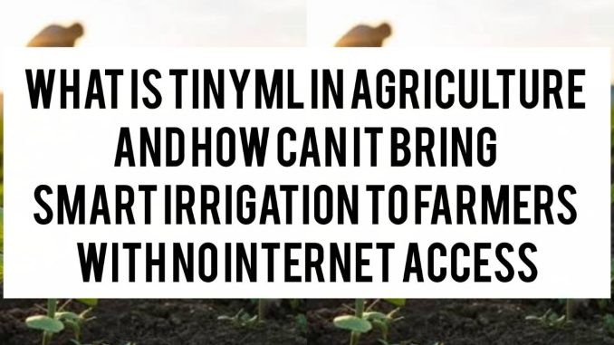 What Is TinyML in Agriculture and How Can It Bring Smart Irrigation to Farmers With No Internet Access