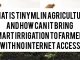 What Is TinyML in Agriculture and How Can It Bring Smart Irrigation to Farmers With No Internet Access