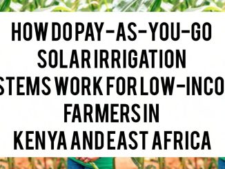 How Do Pay-As-You-Go Solar Irrigation Systems Work for Low-Income Farmers in Kenya and East Africa