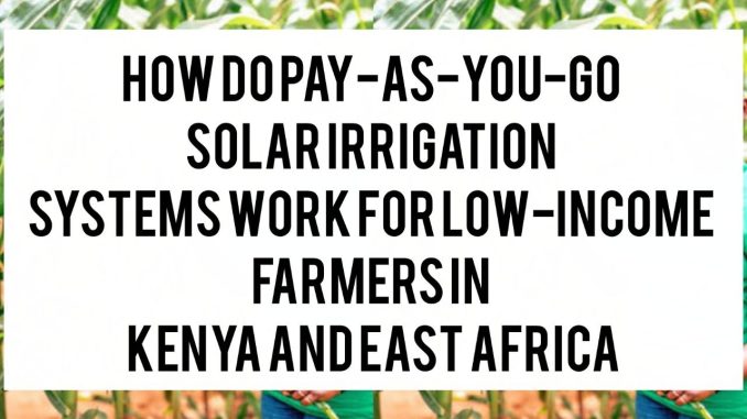 How Do Pay-As-You-Go Solar Irrigation Systems Work for Low-Income Farmers in Kenya and East Africa